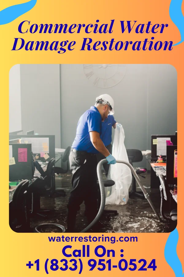 Commercial Water Damage Restoration in Needville, TX
